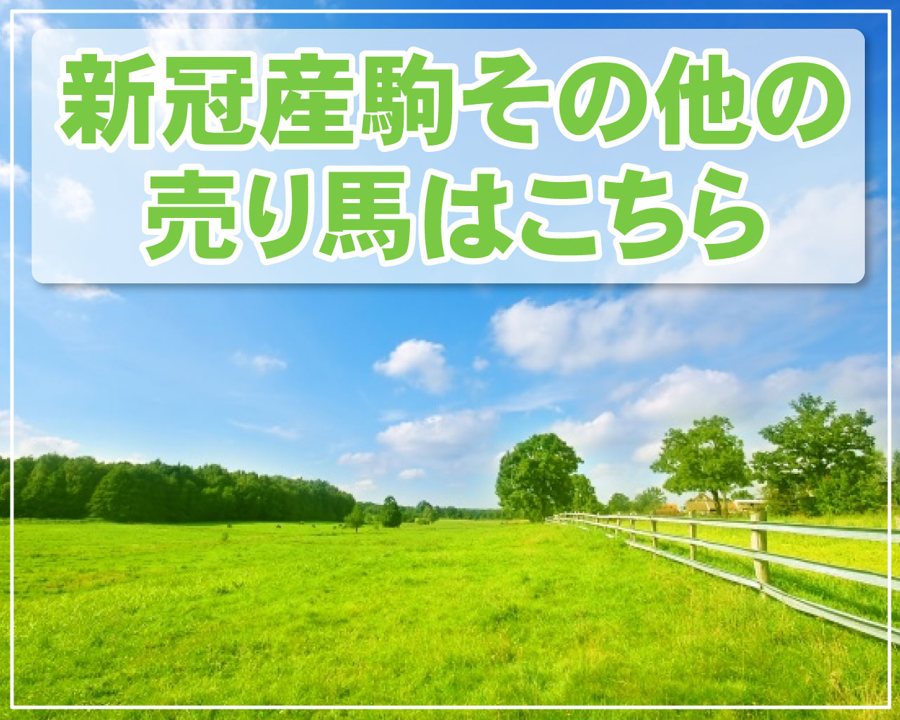 その他の売り馬